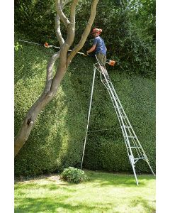 Garden ladder cheap